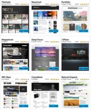 Some of the thousands of pre-designed WordPress Themes available